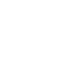 Logo norgesfotografforbund 2